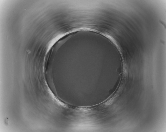 X0000100920910200807011304