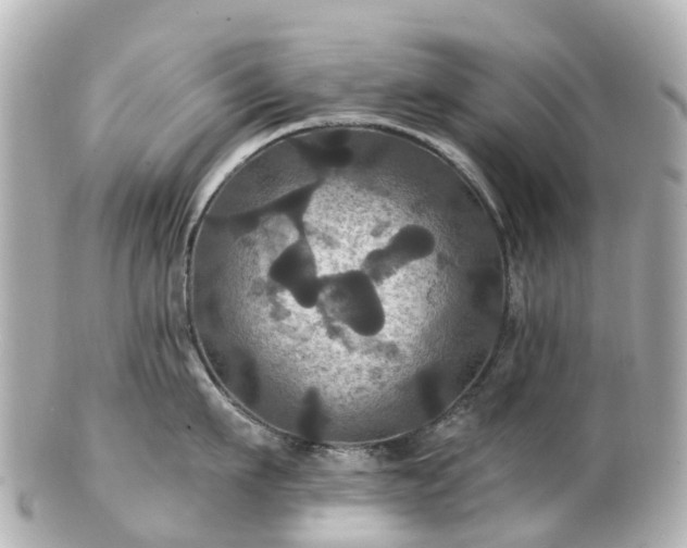 X0000100920911200807011304