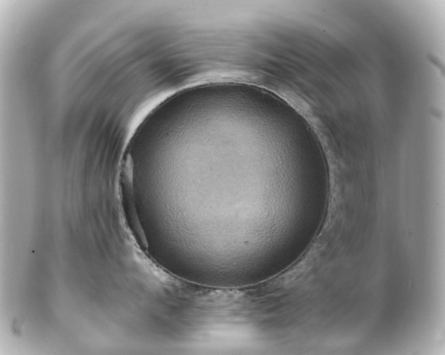 X0000100920912200807011304