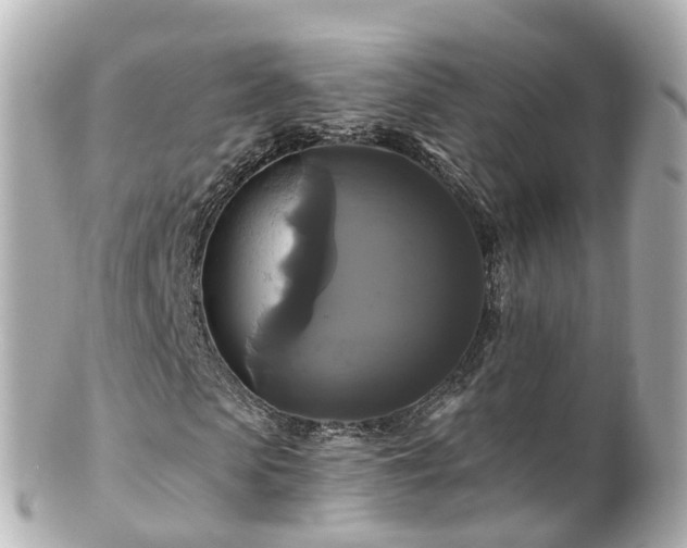 X0000100920913200807011303