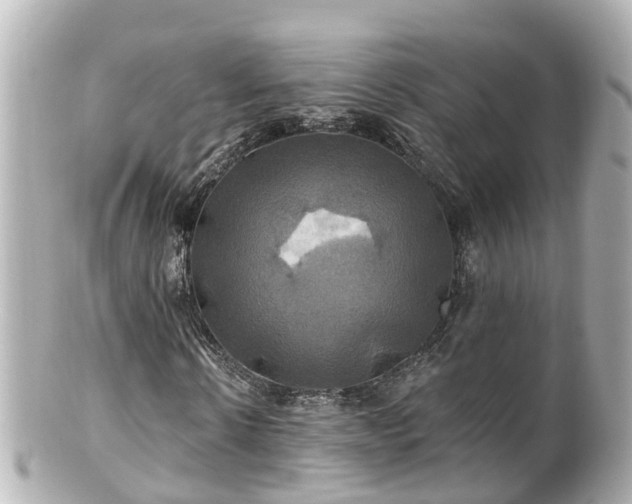 X0000100920914200807011303