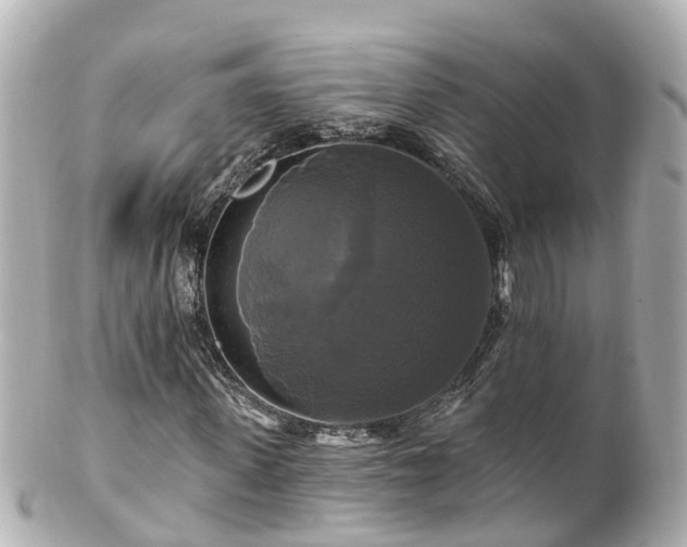 X0000100920915200807011303