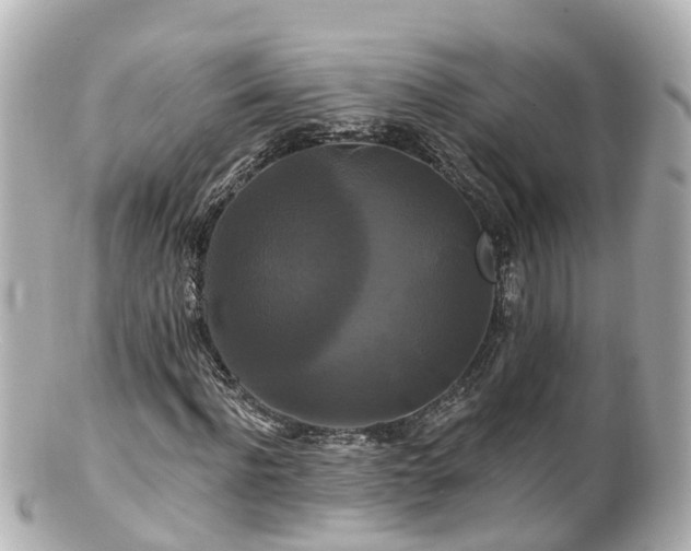 X0000100920916200807011303