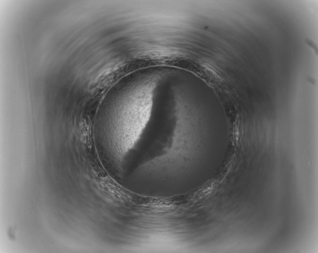 X0000100920917200807011303