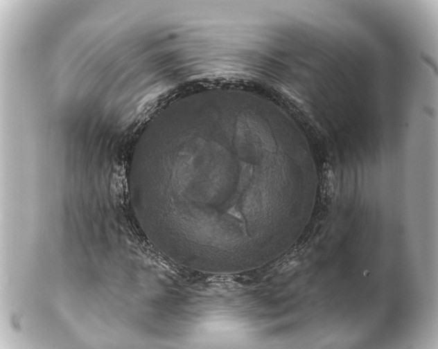 X0000100920918200807011303