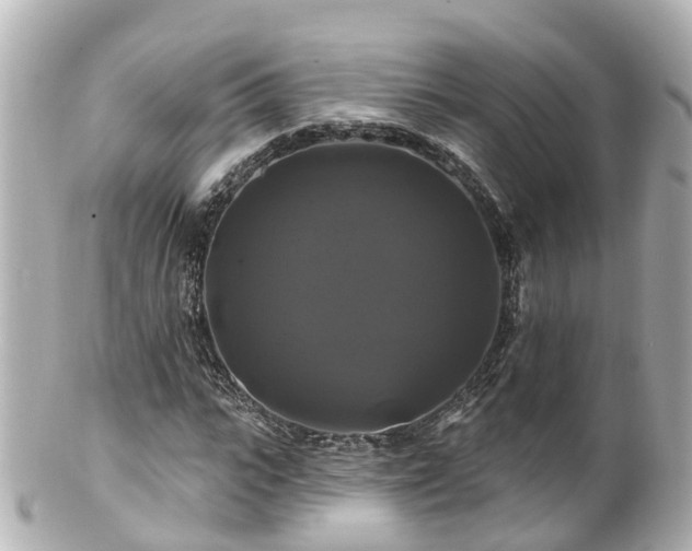 X0000100920919200807011303