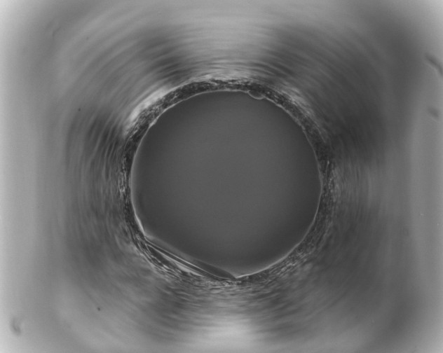 X0000100920920200807011303