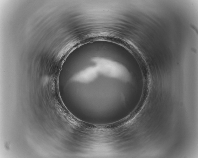 X0000100920921200807011303