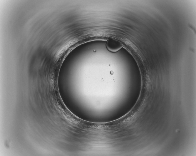 X0000100920922200807011303