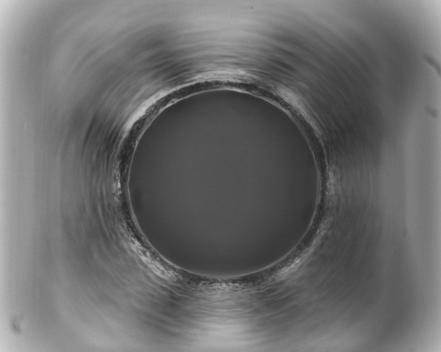 X0000100920923200807011303