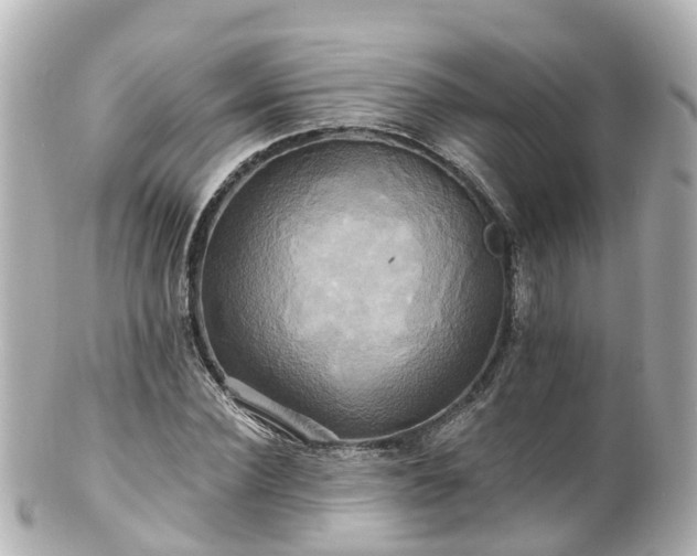 X0000100920924200807011303