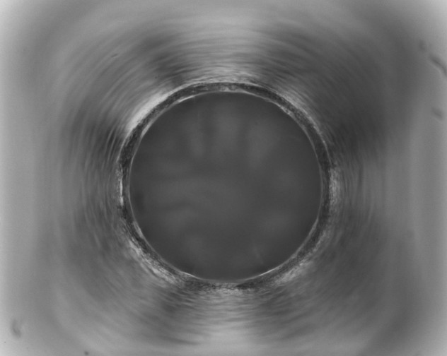 X0000100920925200807011303