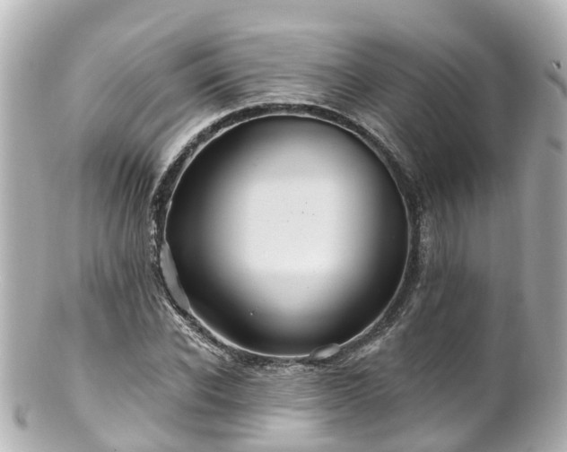 X0000100920926200807011303