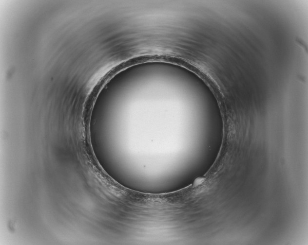 X0000100920927200807011303