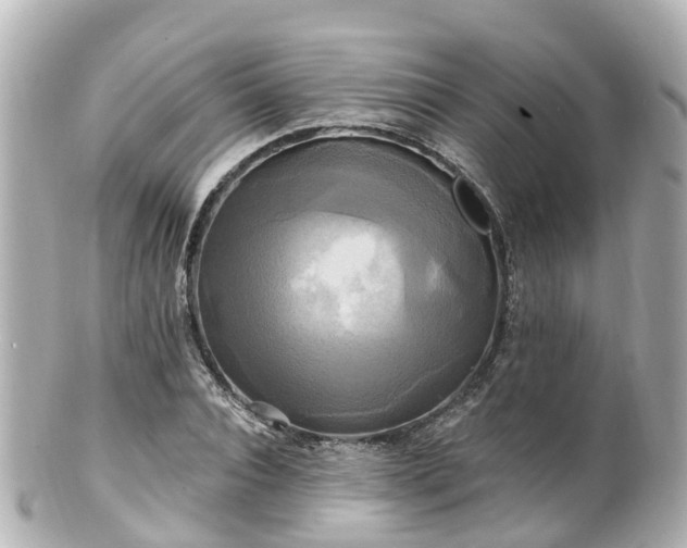 X0000100920928200807011303