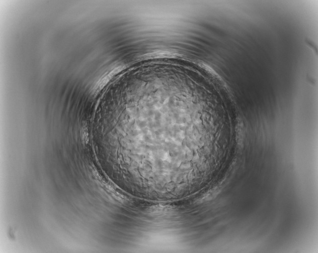 X0000100920929200807011303