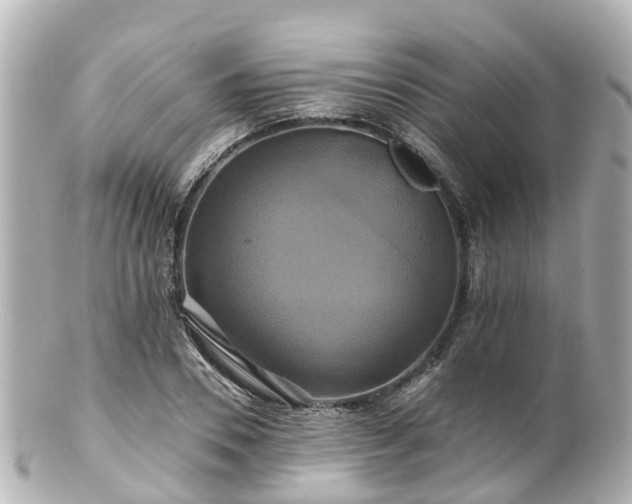 X0000100920930200807011303