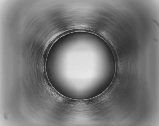 X0000100920931200807011303