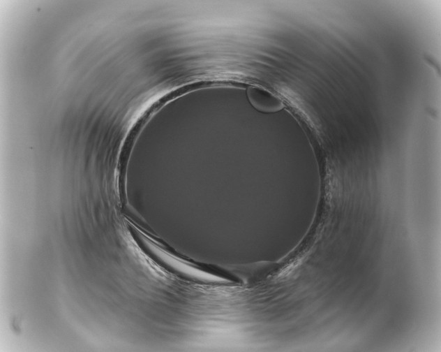 X0000100920932200807011303