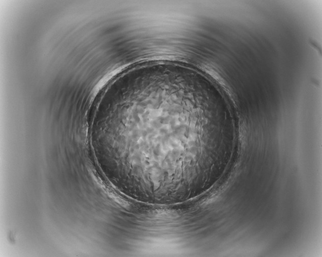 X0000100920933200807011303