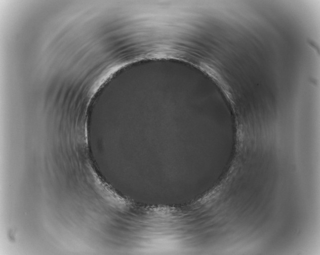 X0000100920934200807011303