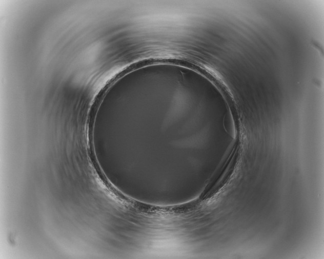 X0000100920935200807011303