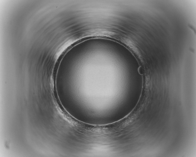 X0000100920936200807011303