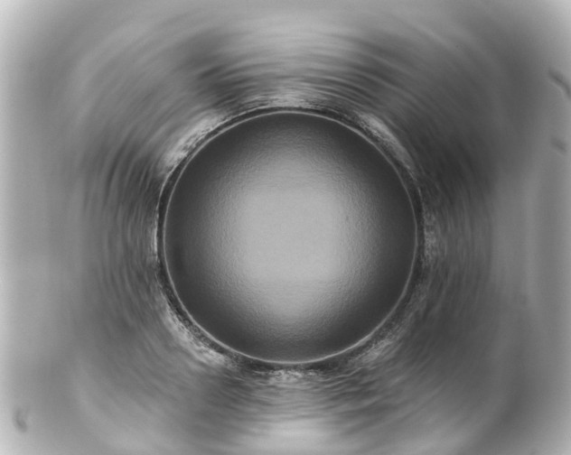 X0000100920938200807011303