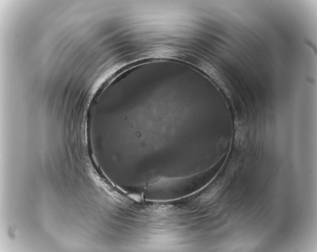 X0000100920939200807011303