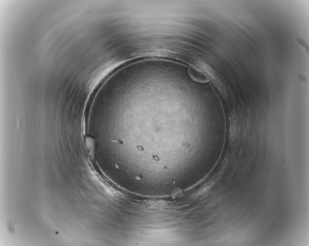 X0000100920940200807011303