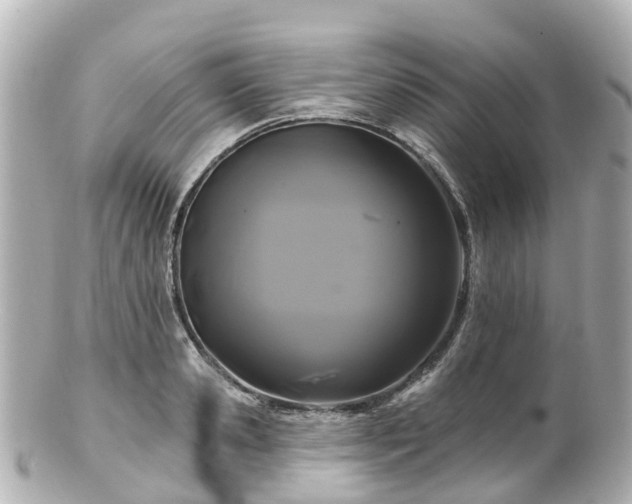 X0000100920941200807011303