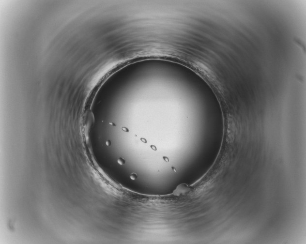 X0000100920942200807011303