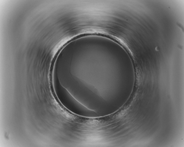 X0000100920943200807011303