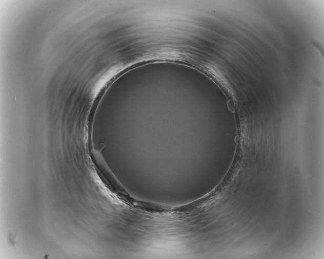 X0000100920944200807011303