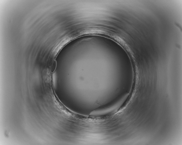 X0000100920945200807011303