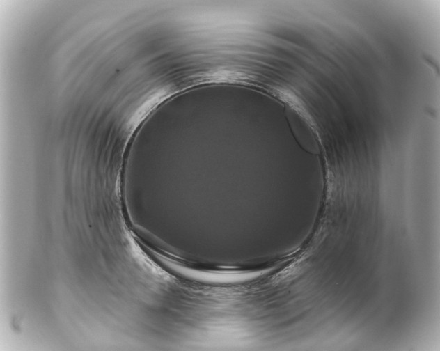 X0000100920946200807011303