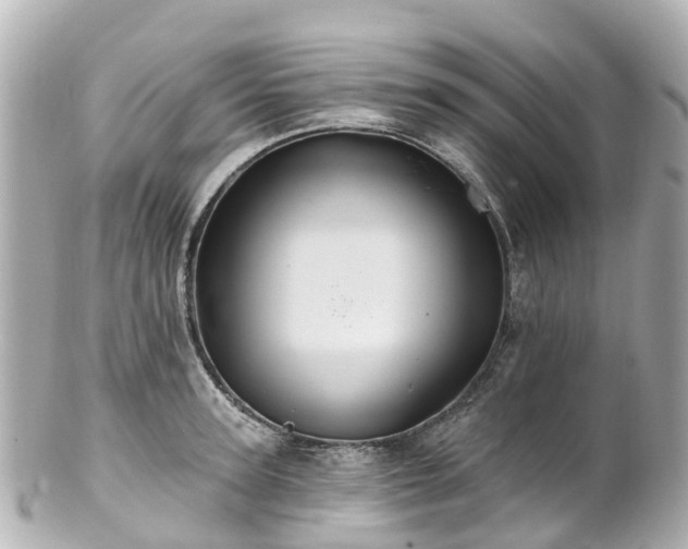 X0000100920947200807011303