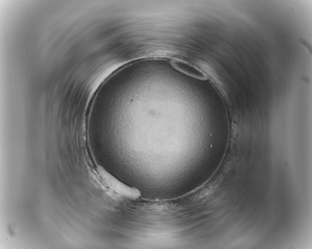 X0000100920948200807011303