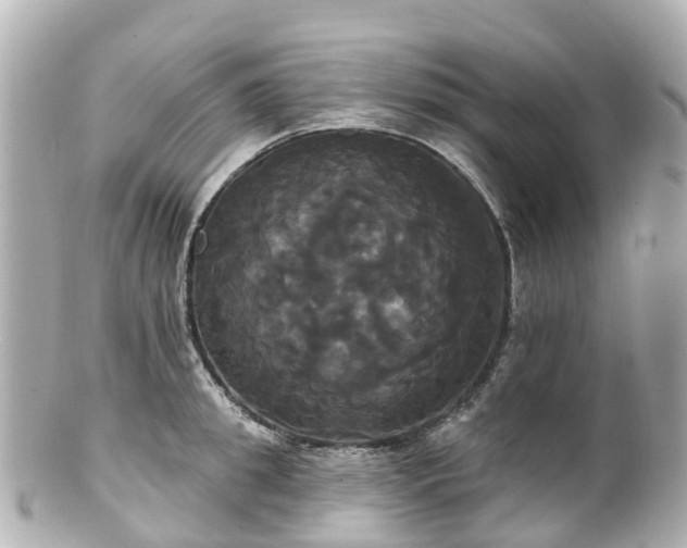 X0000100920949200807011303