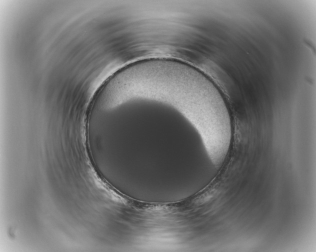 X0000100920950200807011303