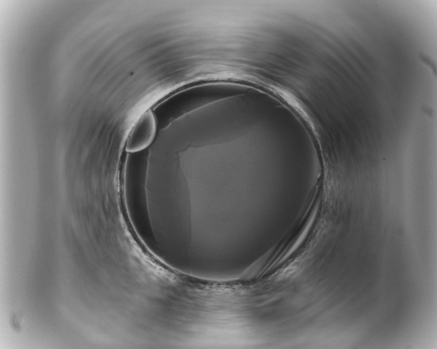 X0000100920951200807011303