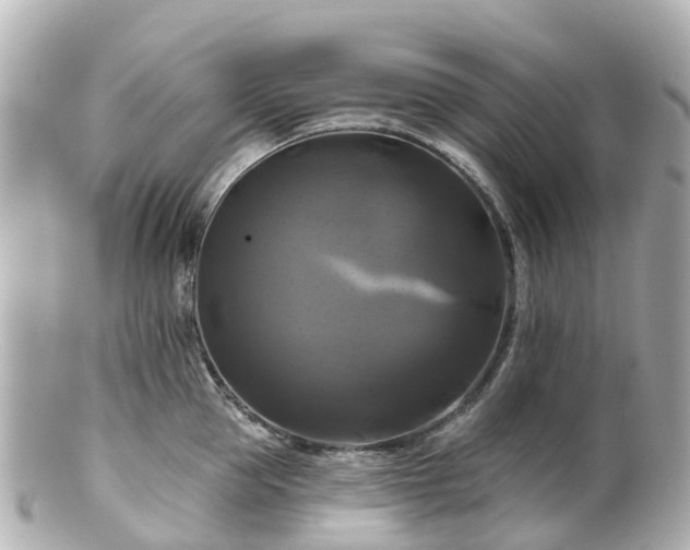 X0000100920953200807011304