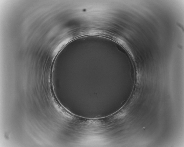 X0000100920954200807011304