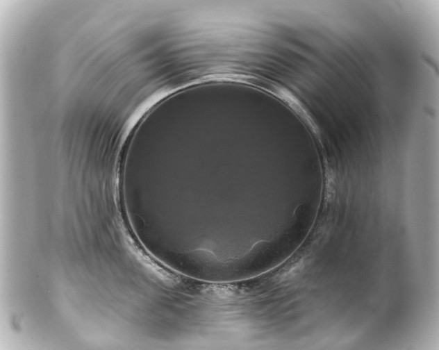 X0000100920955200807011304