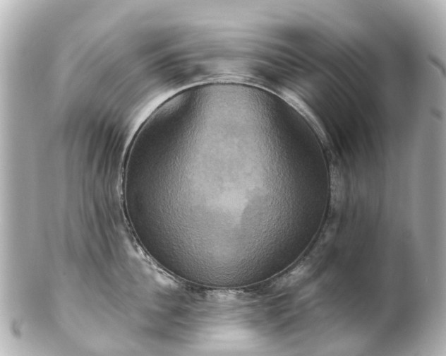 X0000100920956200807011304