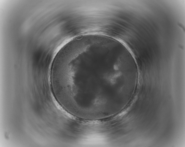 X0000100920957200807011304