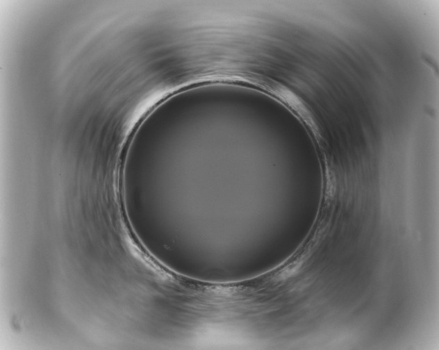 X0000100920958200807011304