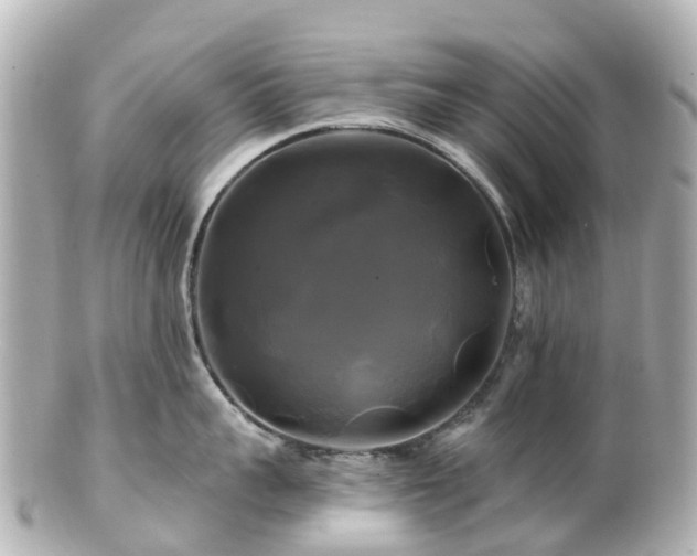 X0000100920959200807011304