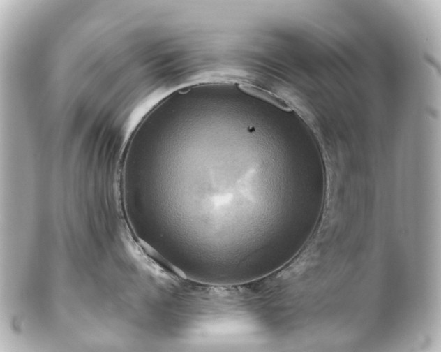 X0000100920960200807011304