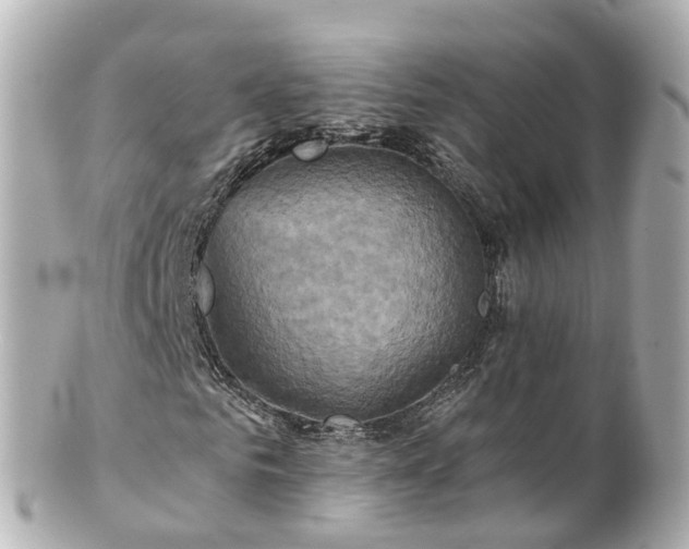 X0000100920961200807011303